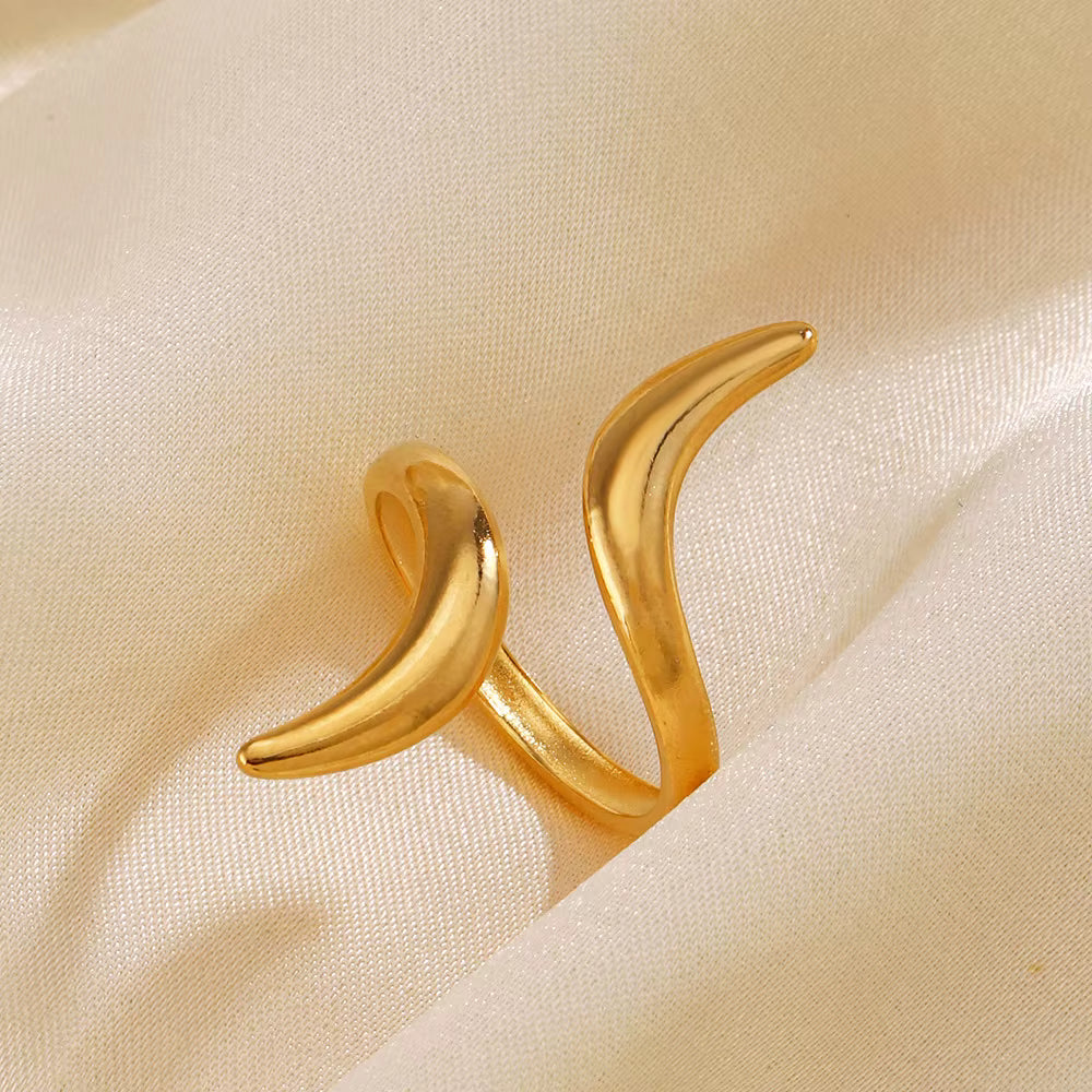 Anillo