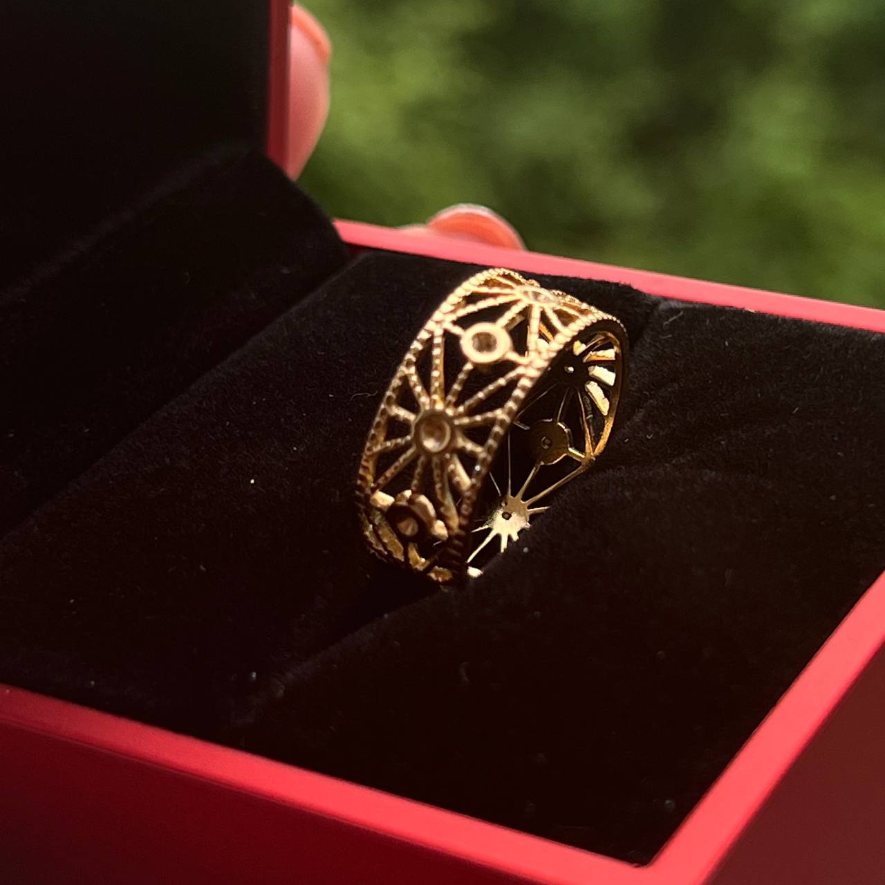 Anillo