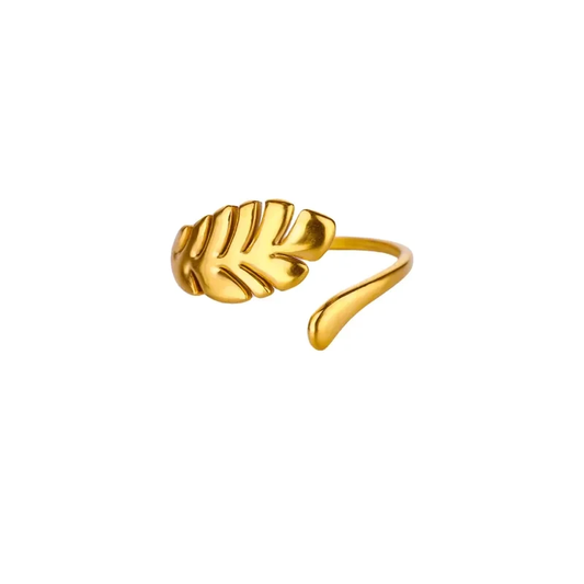 Anillo