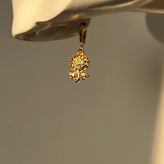 Aretes