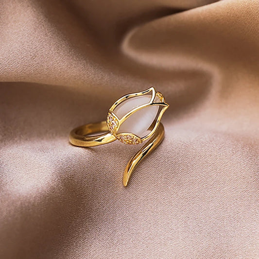 Anillo
