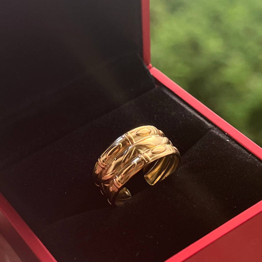 Anillo