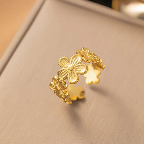Anillo