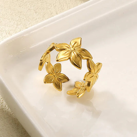 Anillo