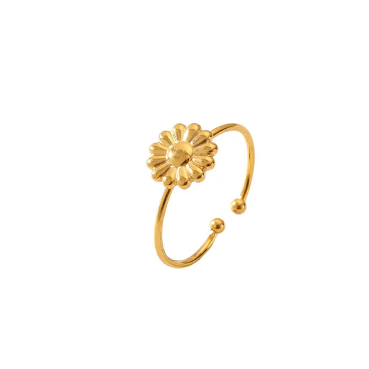 Anillo