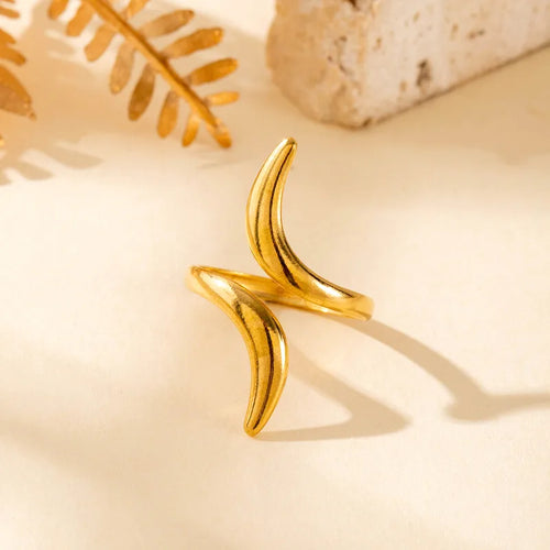 Anillo
