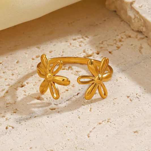 Anillo