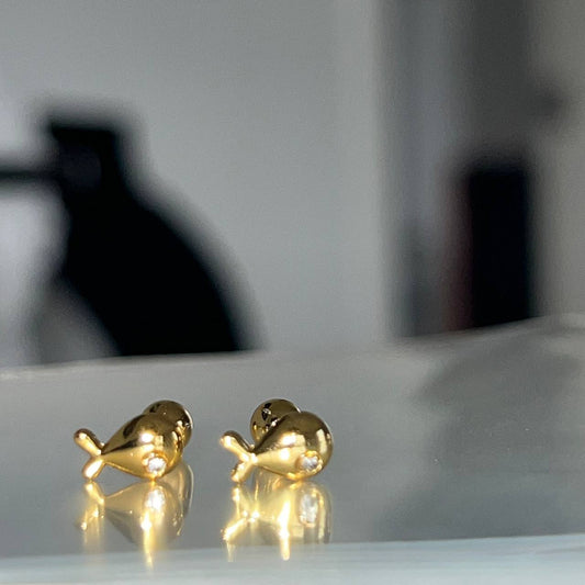 Aretes Ortopédicos