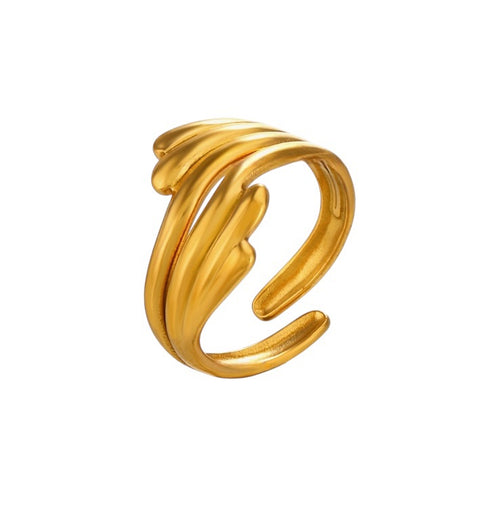Anillo