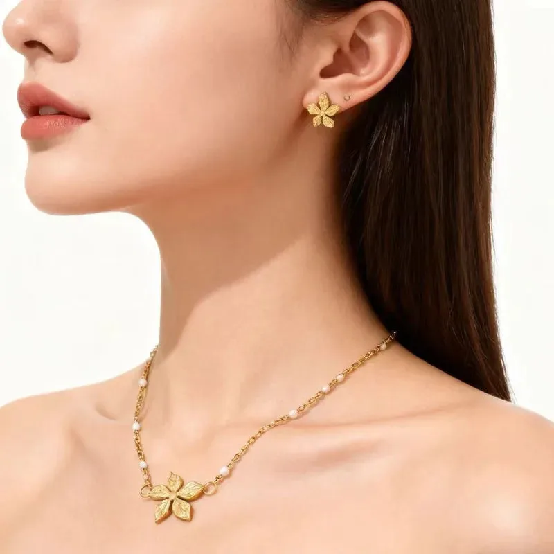 Set de collar y aretes Acero 814